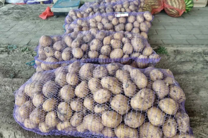 Продаж товарної картоплі від 20 тонн- фото № 1