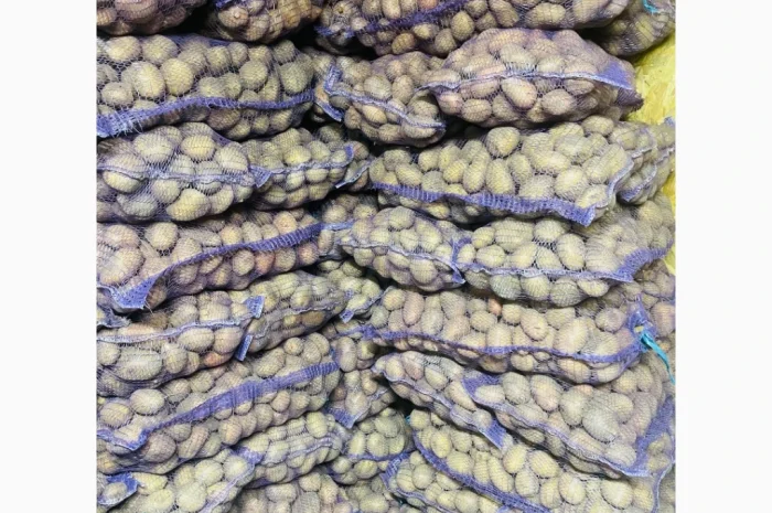 Домашня картопля високої якості- фото № 1