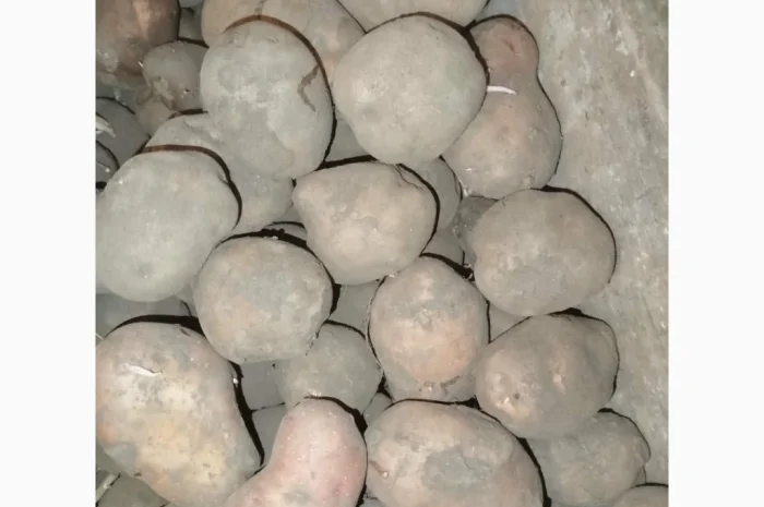 Продаю домашню картоплю- фото № 1