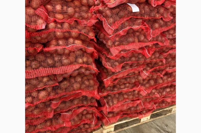 Картофель сорт Констанс (крупный) 1-й сорт- фото № 1