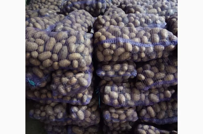 Продажа картофеля: белая роса, скарб, гранада- фото № 2