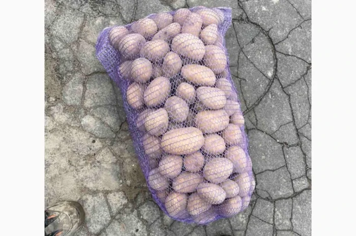 Продається картопля від однієї тонни- фото № 1