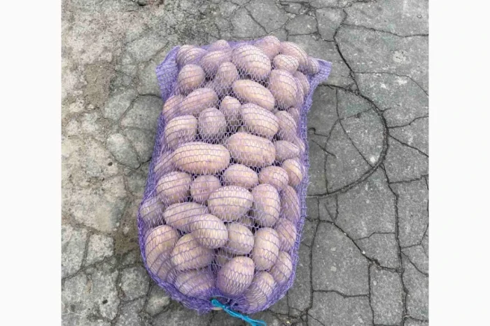 Куплю картоплю от одной тонны- фото № 1