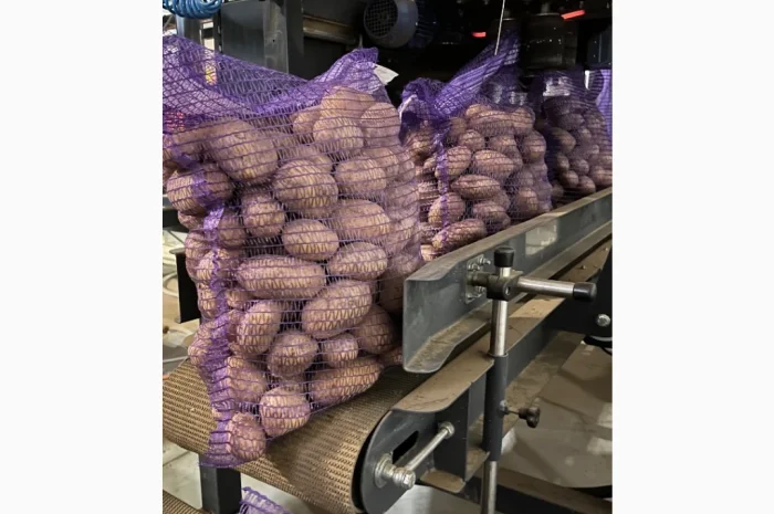 Купить картошку разных сортов- фото № 1