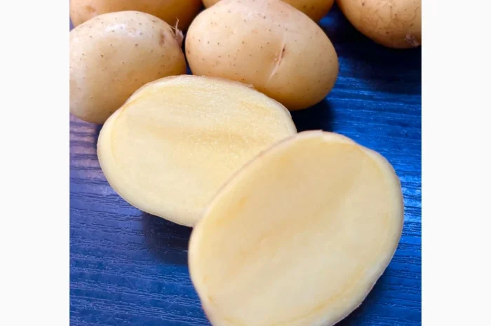 Купить картошку разных сортов- фото № 10