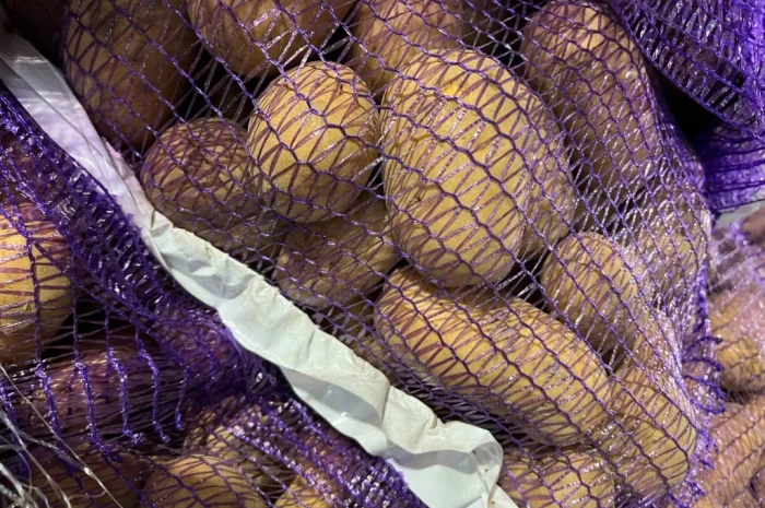 Купить картошку разных сортов- фото № 2