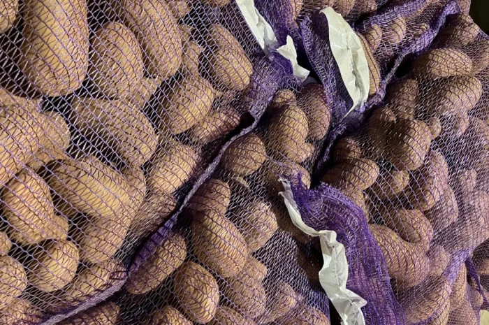 Купить картошку разных сортов- фото № 5