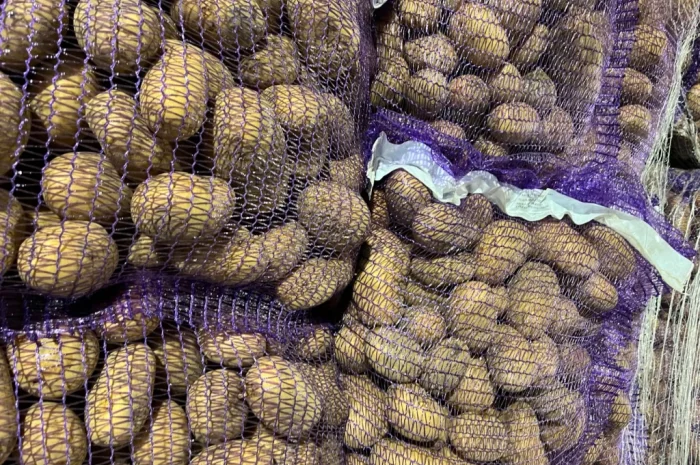 Купить картошку разных сортов- фото № 6