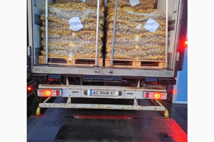 Продаж картоплі найвищої якості- фото № 4