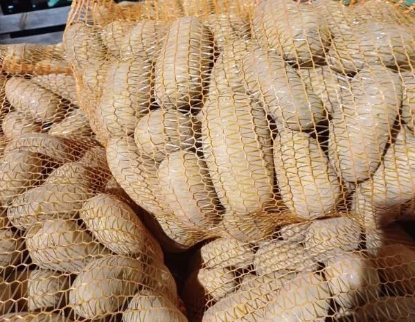 Продаж картоплі найвищої якості- фото № 5