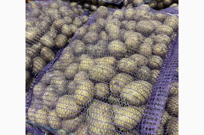 Продаж картоплі сорту Гала фракція 5-7- фото № 1