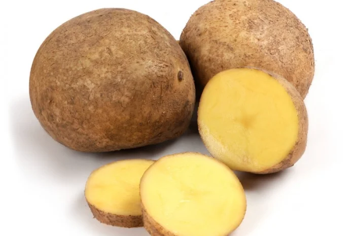 Продаж картоплі оптом- фото № 1