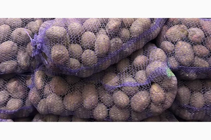 Картопля оптом високої якості- фото № 1