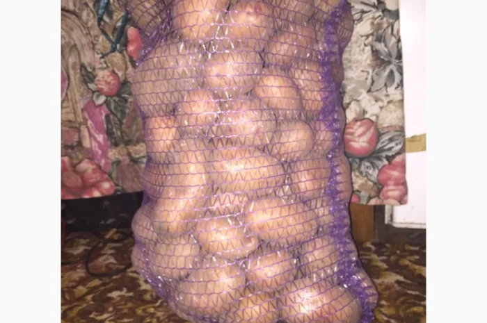 Продаю картоплю белла росса- фото № 2