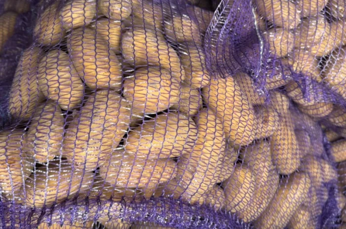 Покупка картоплі товарної- фото № 1