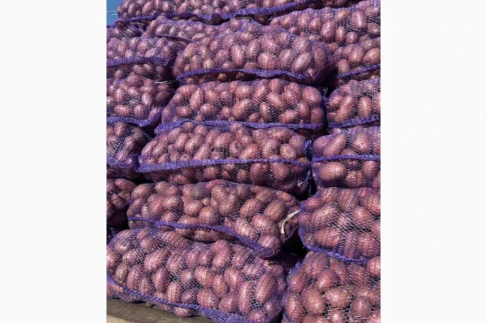 Куплю картофель Гранада белороса- фото № 1