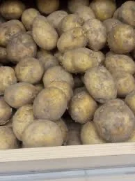 Закупка семенного картофеля от аграриев- фото № 1