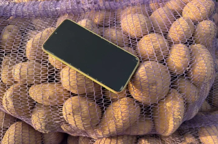 Закупівля картоплі оптом від 80 тонн- фото № 1