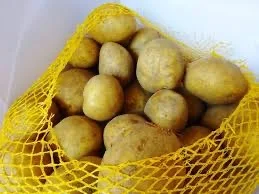 Покупка семенного картофеля от производителей- фото № 1