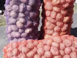 Закупівля картоплі оптом від 10 тонн- фото № 1