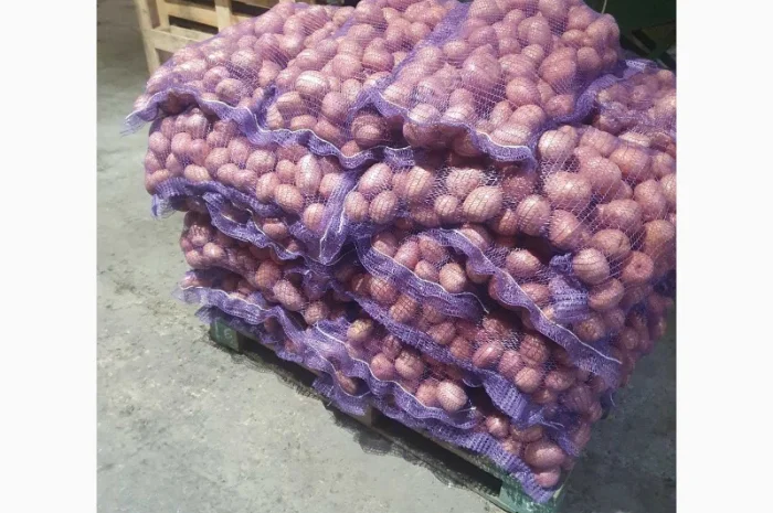 Продаж картоплі в Житомирі- фото № 2