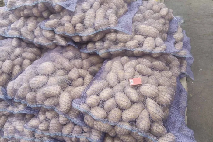 Продажа картошки сорта Гранада, Аризона, Колумба- фото № 4
