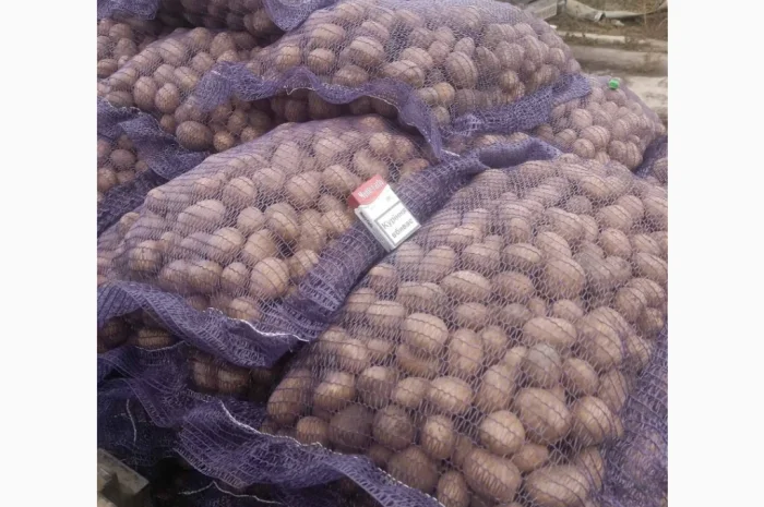 Продажа картошки сорта Гранада, Аризона, Колумба- фото № 5