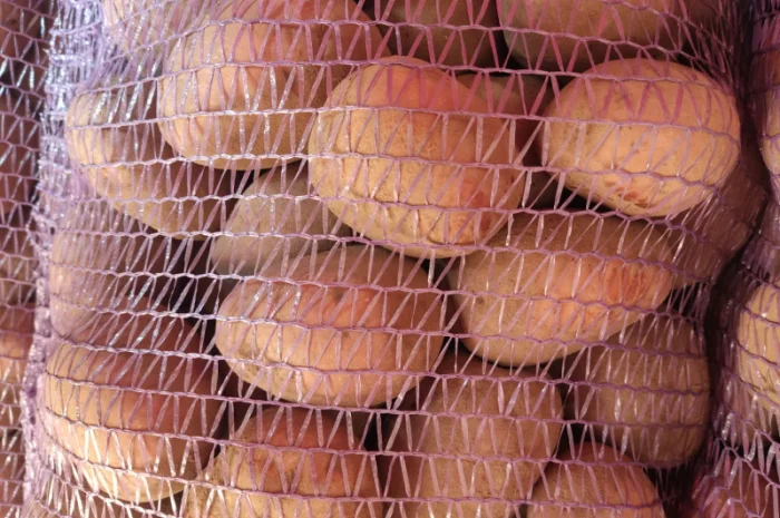 Якісна картопля біла роса- фото № 2