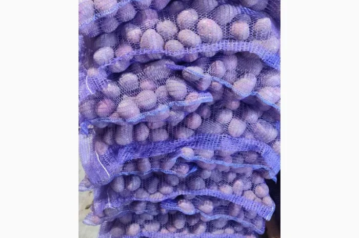 Продажа картофеля розового оптом- фото № 1