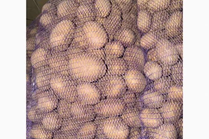 Куплю картоплю від фермера- фото № 2