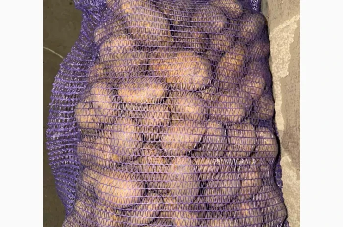 Куплю картоплю від фермера- фото № 3