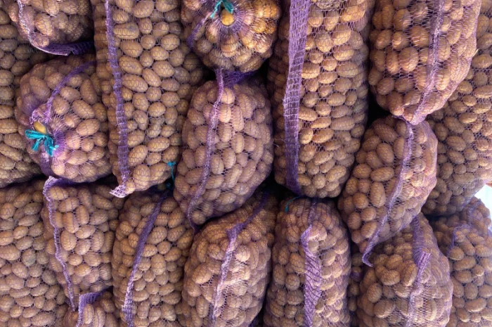 Продам насіннєву картоплю різних сортів- фото № 1