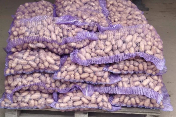 Продаю насинневую картошку Королева Анна и Гранада- фото № 2