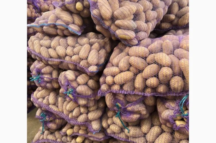 Домашня картопля в сітках по 23 кг- фото № 1