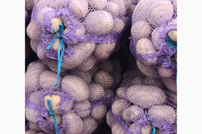 Продаж картоплі сорту Біла Роса- фото № 2