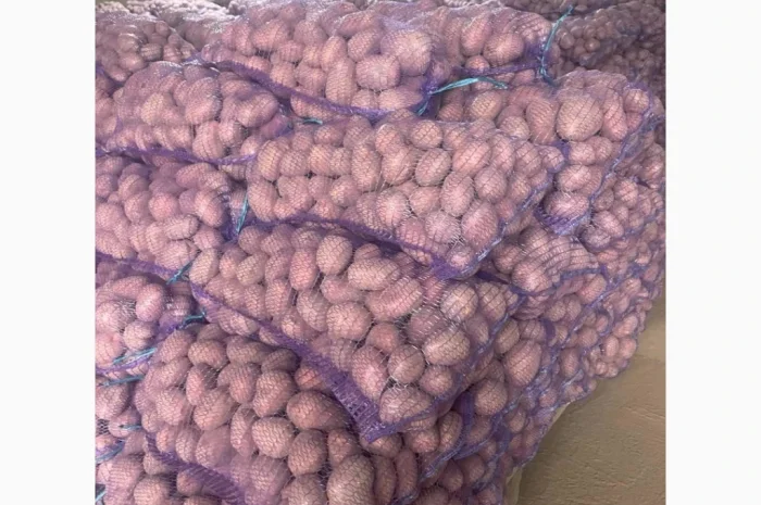 Продаю продовольчу картоплю- фото № 1