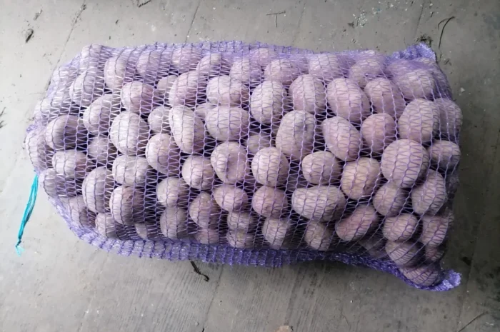 Продаю Насінневу картоплю БелаРосса- фото № 2