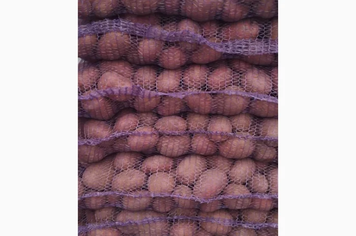 Продажа картофеля разных сортов- фото № 2