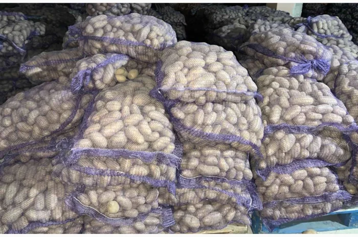 Продаю картоплю сорту Гранада- фото № 1