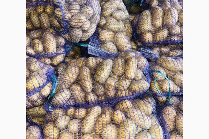 Продаю картоплю сорту Гранада- фото № 6