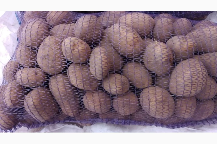 Картопля от производителя- фото № 7