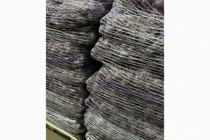 Картопля сортів Мелоді, Сорая, Белароса для гуртової покупки- фото № 2