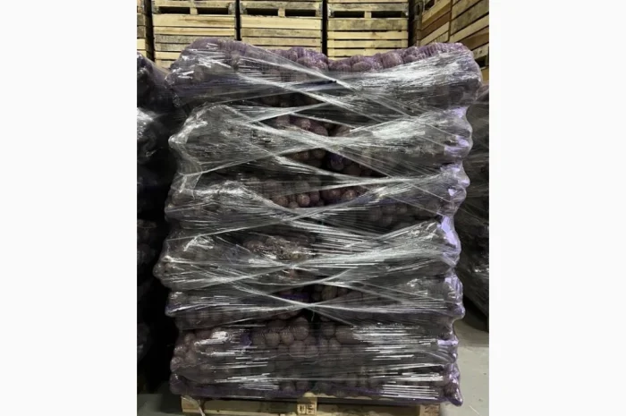 Картопля сортів Мелоді, Сорая, Белароса для гуртової покупки- фото № 3