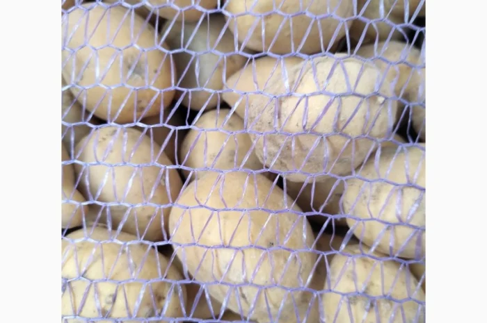 Продаж дрібної картоплі домашнього виробництва- фото № 1