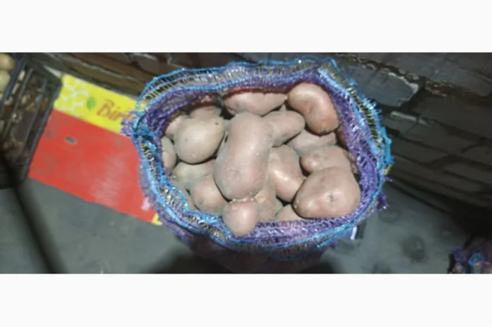 Куплю товарний картоплю хорошої якості- фото № 3