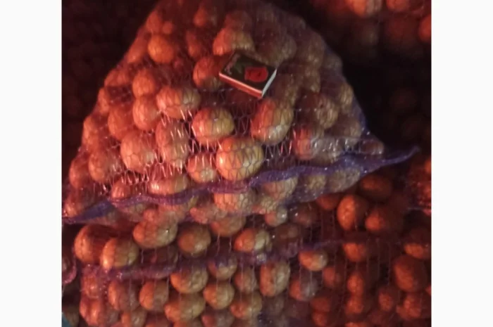 Семенная картопля Аризона на продаж- фото № 1