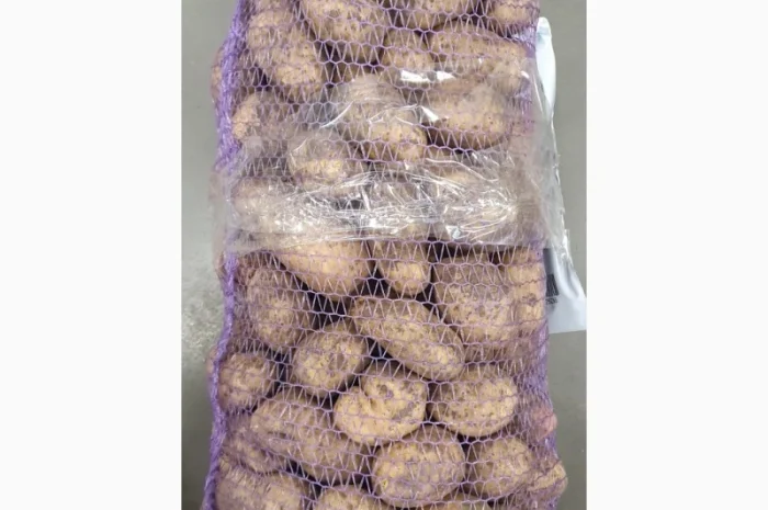 Картопля н.с по 4 грн в продажу- фото № 1