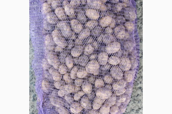 Продаж картоплі сорту Прада- фото № 1