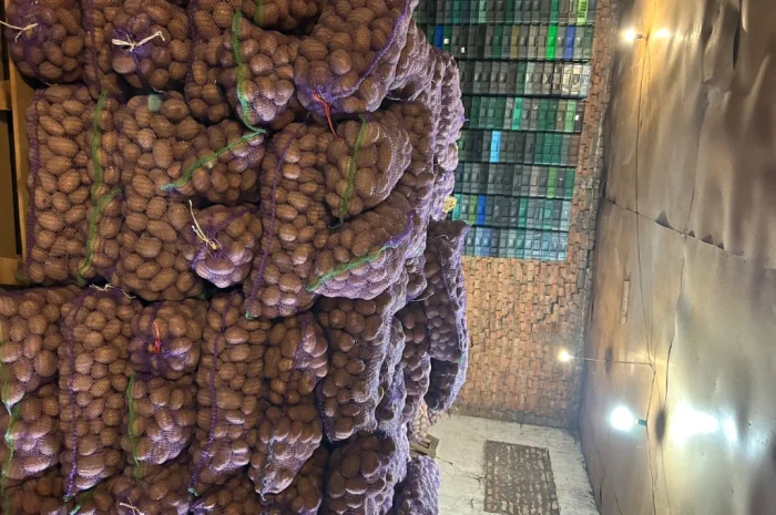 Продажа товарной картошки от населения- фото № 1