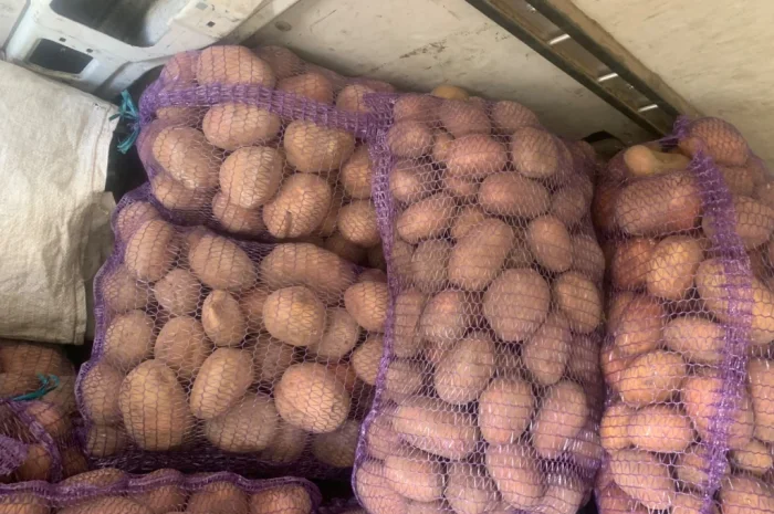 Продажа товарной картошки от населения- фото № 3